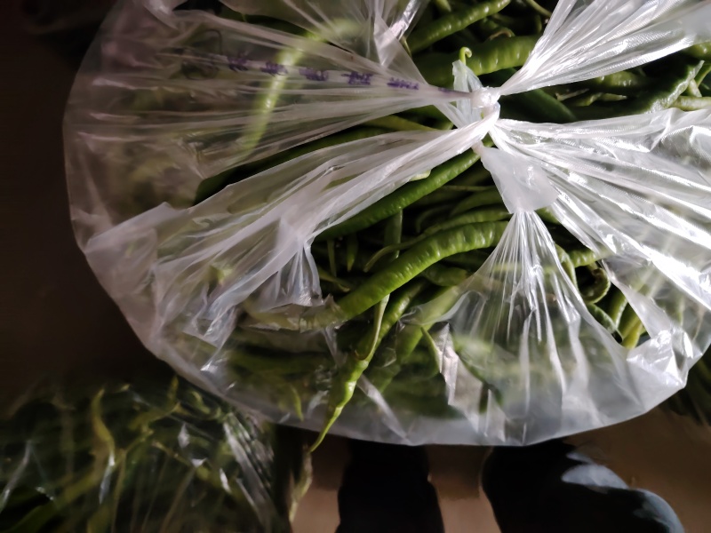精品辣椒，菜辣，线辣，货量大，质量好