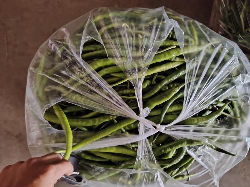 精品辣椒，菜辣，线辣，货量大，质量好