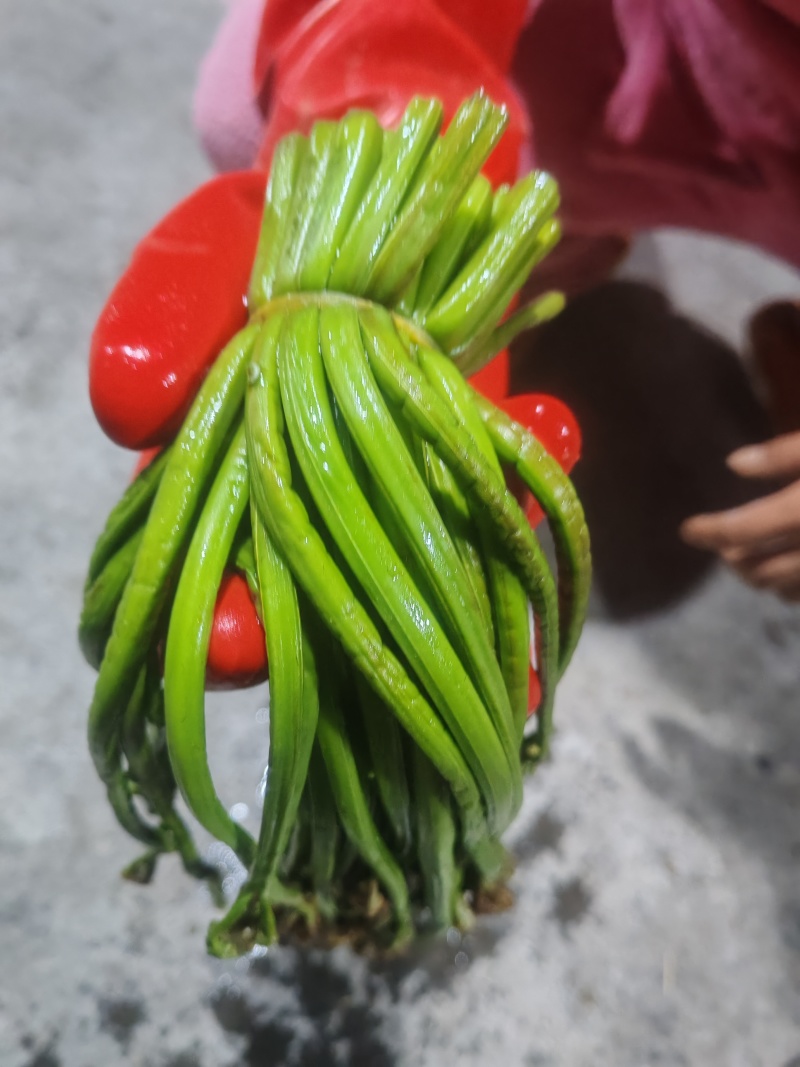 有需要的联系