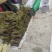 有需要的联系