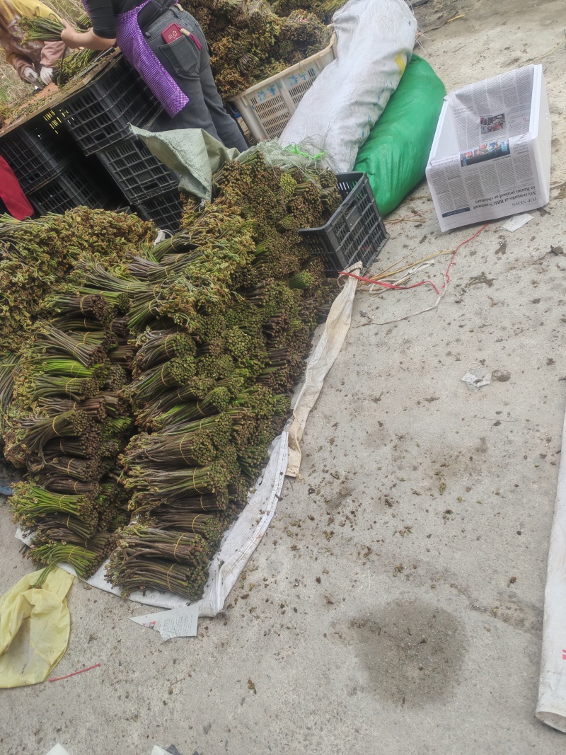 有需要的联系