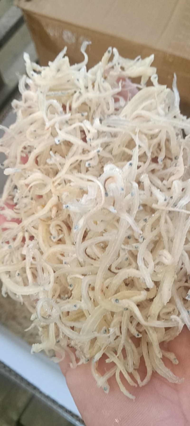 白条银鱼干！质量不错！电商实体均可！