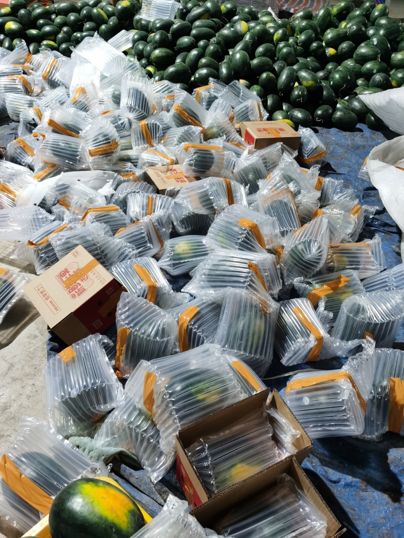 黑美人西瓜，应季新鲜水果，承电商，落地配社区团购等。