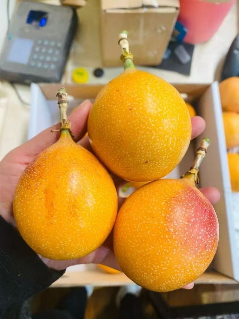 云南西双版纳热情果一件代发，哥伦比亚热情果非海南热情水果