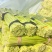 精品红帽蒜苔产地直发。超市，市场，电商支持视频看货。