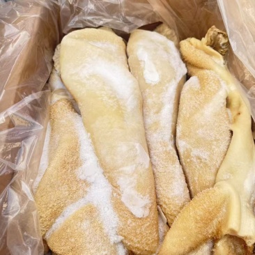 国产牛肚
