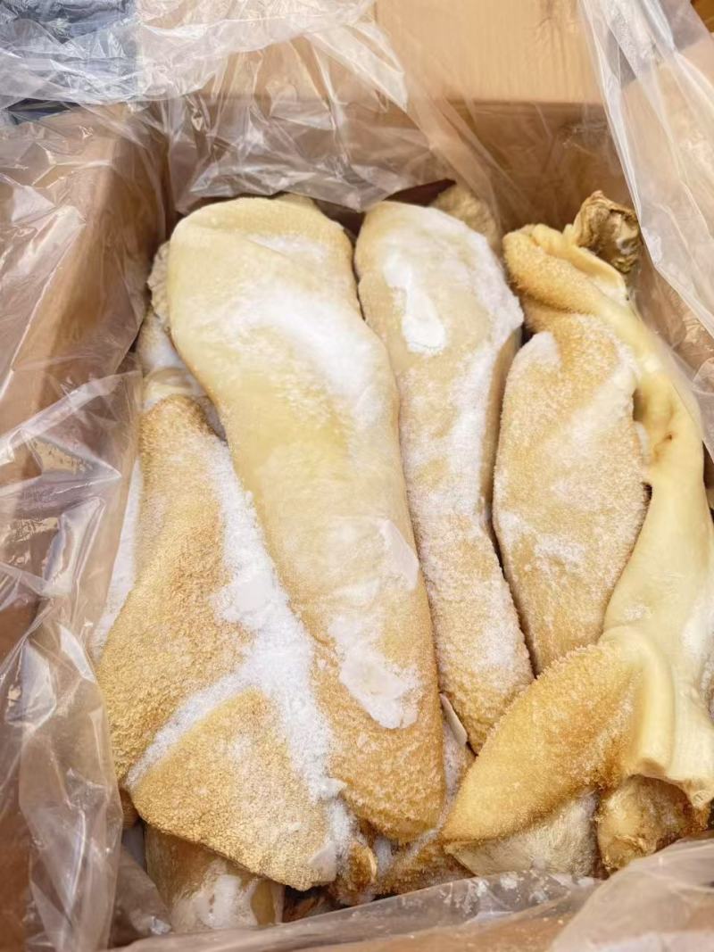 国产牛肚