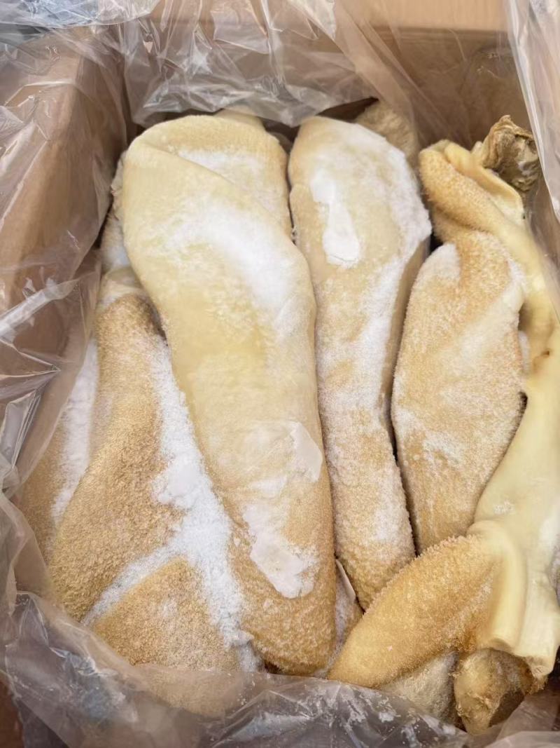 国产牛肚