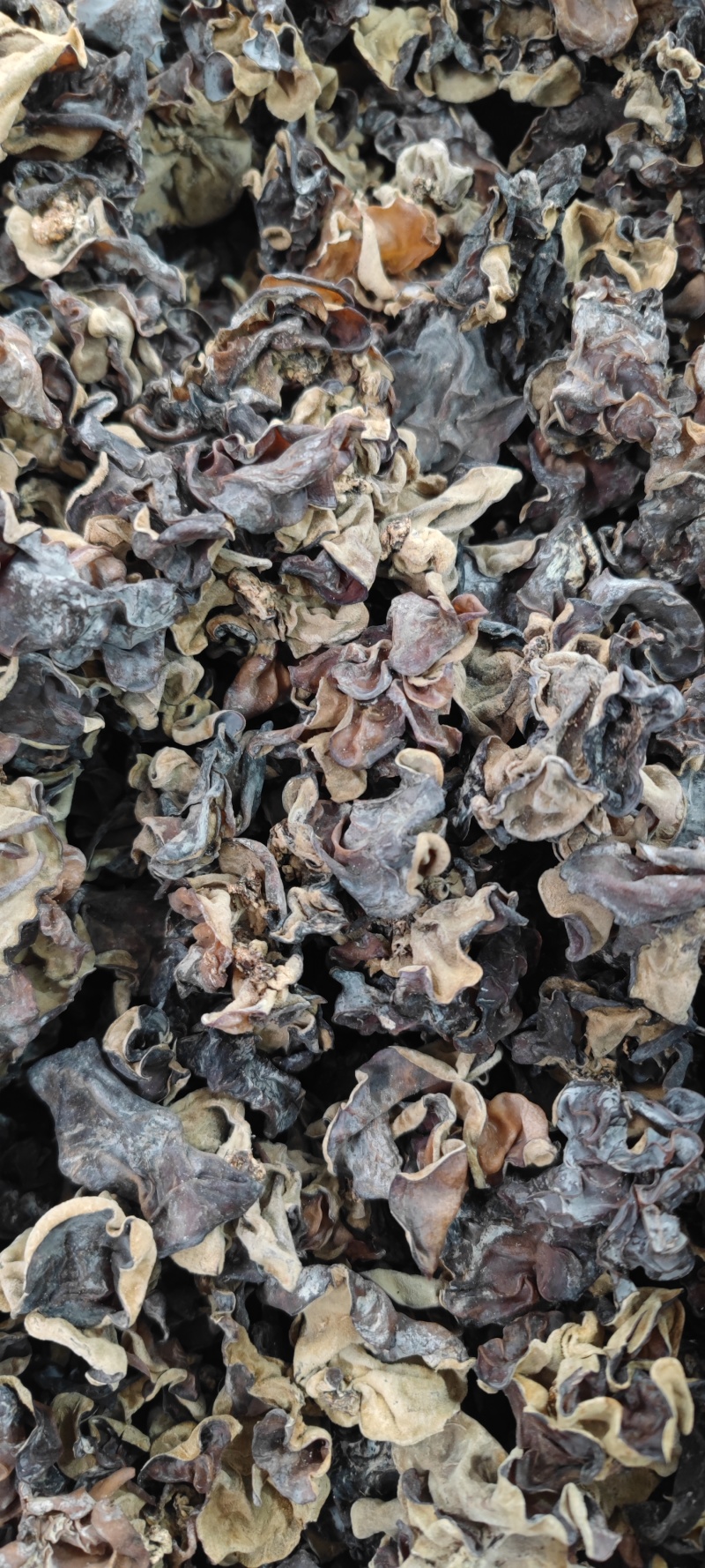 白背毛木耳干货批发山东鱼台皮木耳餐饮火锅电商一件代发全国