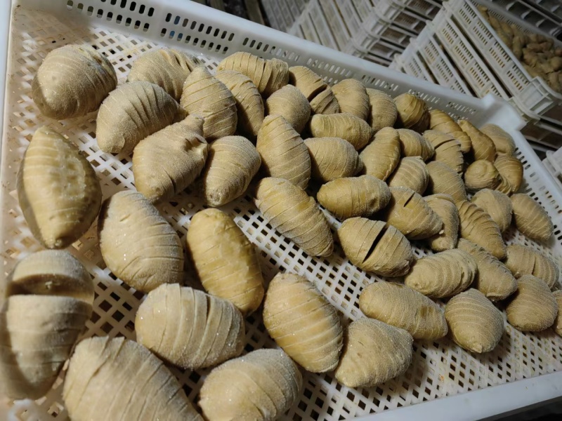 只做优质手工面筋