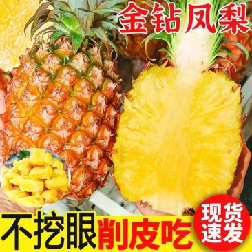 海南金钻凤梨大量现货一件代发批发代办装车靠谱实力