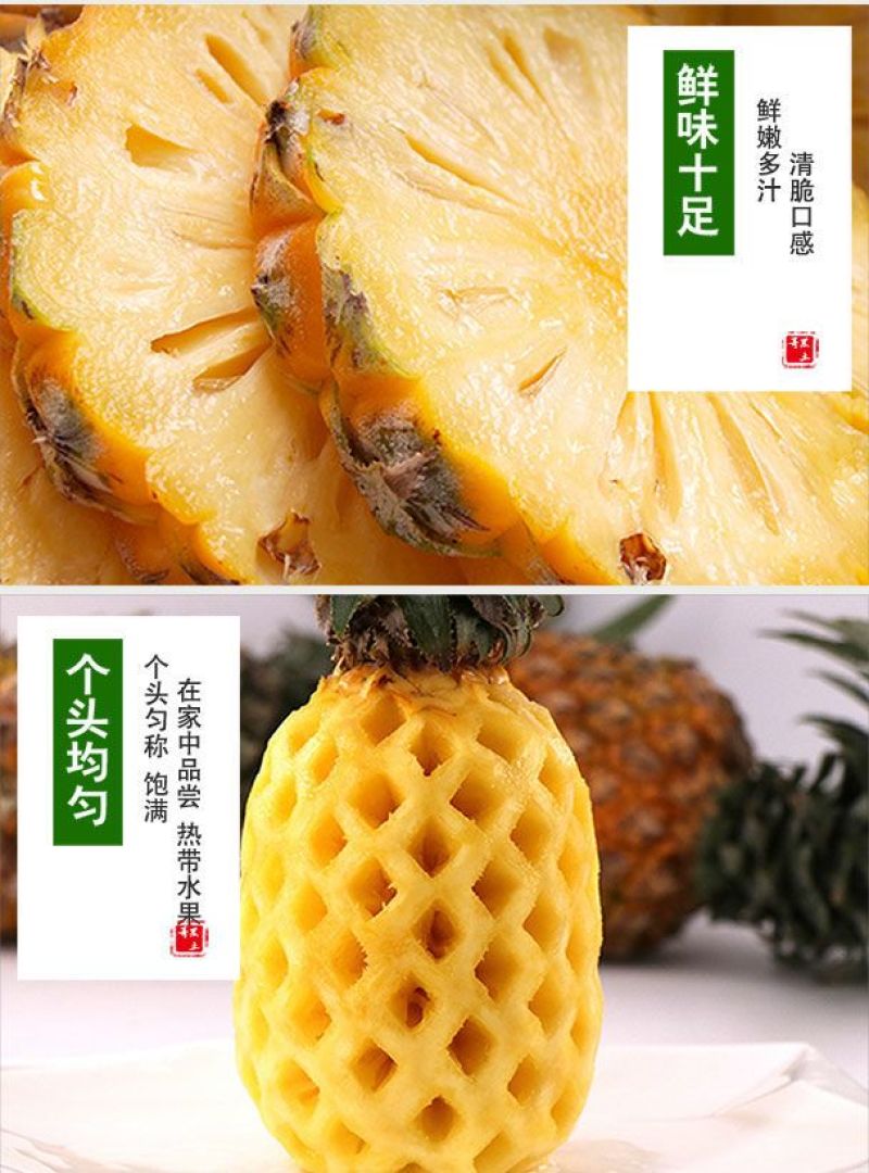 海南金钻凤梨大量现货一件代发批发代办装车靠谱实力