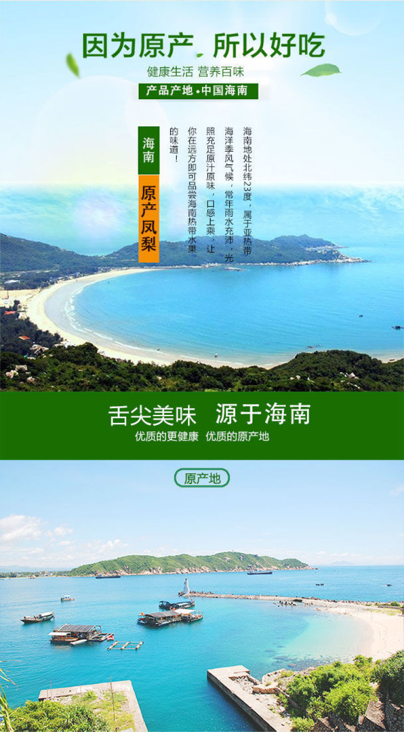 海南金钻凤梨大量现货一件代发批发代办装车靠谱实力