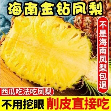 海南金钻凤梨大量现货可代发代办装车实力靠谱
