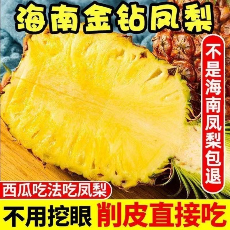 海南金钻凤梨大量现货可代发代办装车实力靠谱