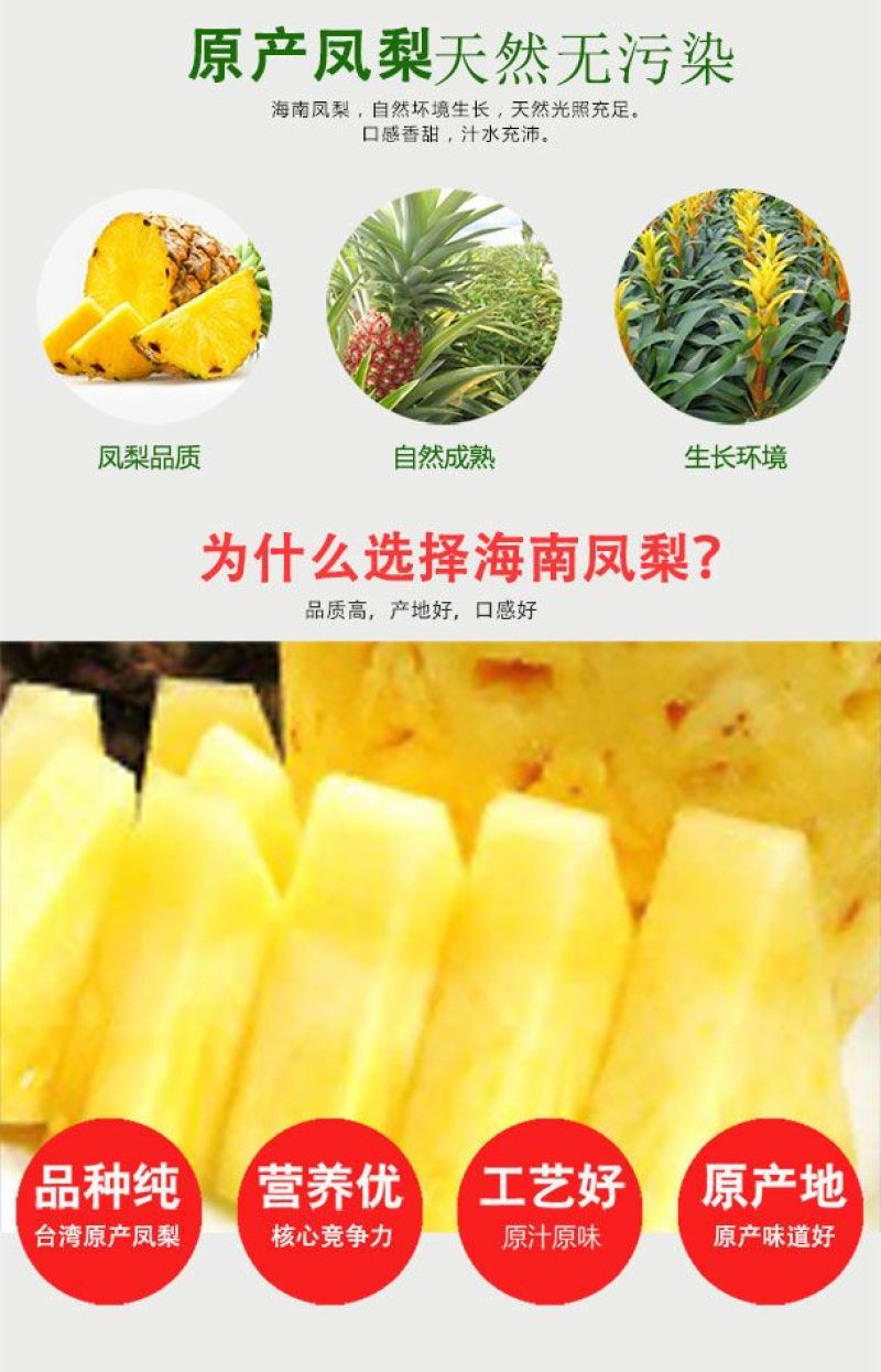 海南金钻凤梨大量现货可代发代办装车实力靠谱