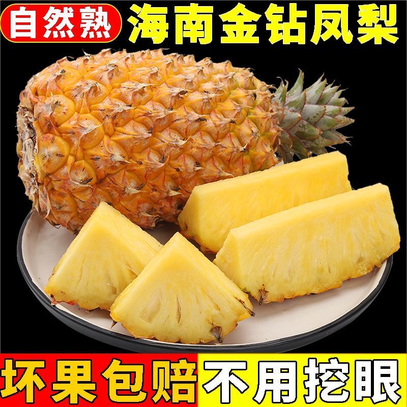 海南金钻凤梨大量现货可代发代办装车实力靠谱