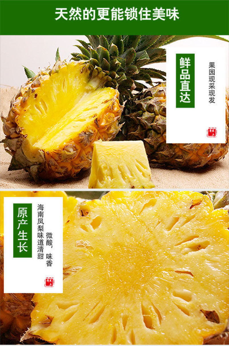 海南金钻凤梨大量现货可代发代办装车实力靠谱