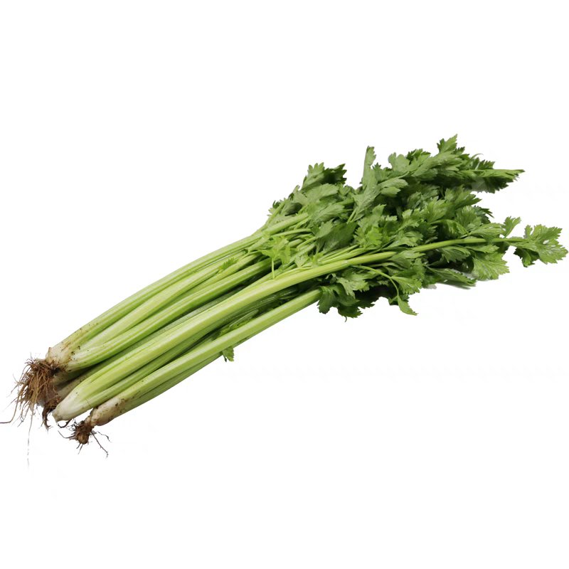 芹菜产地一手货源支持视频看货保质保量欢迎订购