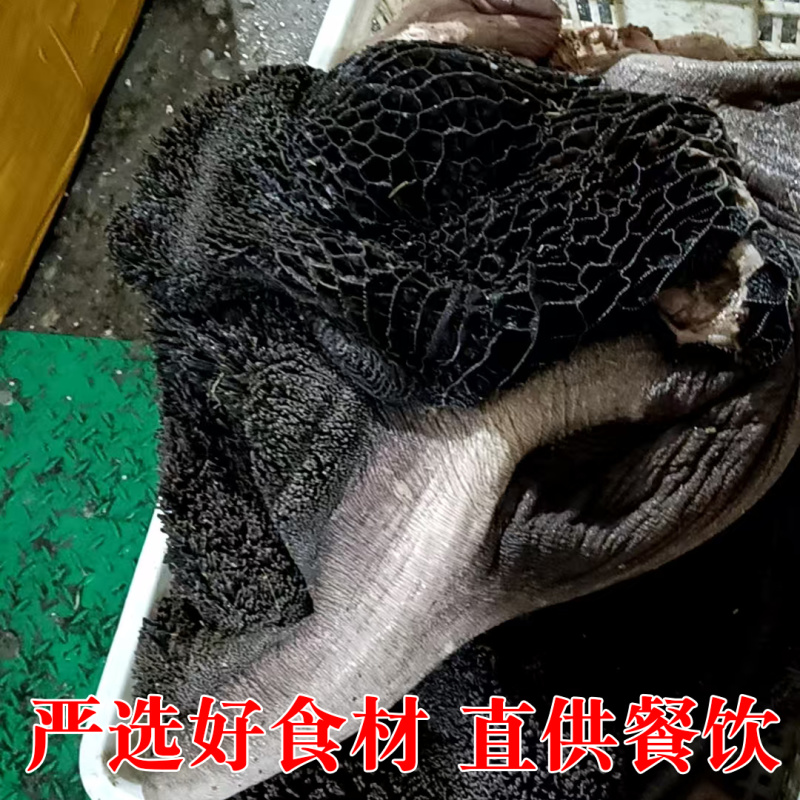 牛肚牛大肚新鲜肚子原装新鲜可定制水退黑毛