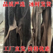牛肚牛大肚新鲜肚子原装新鲜可定制水退黑毛