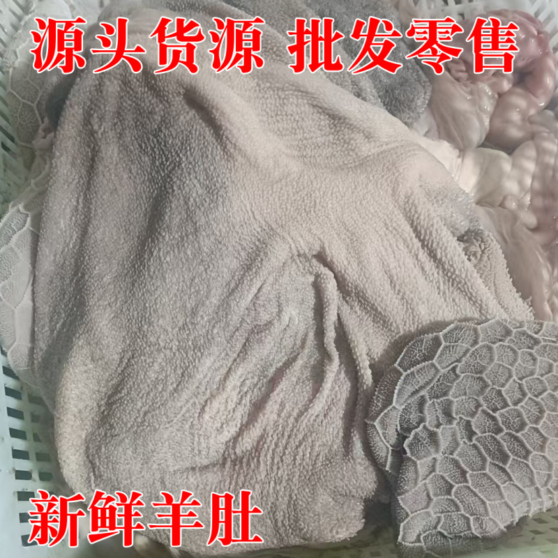 羊肚新鲜羊肚肚包肉原材料羊肉馆餐馆专用