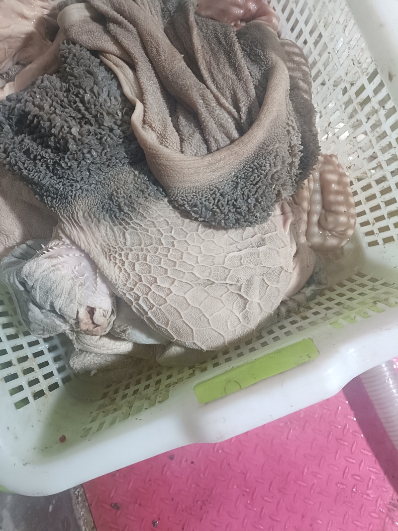 羊肚新鲜羊肚肚包肉原材料羊肉馆餐馆专用