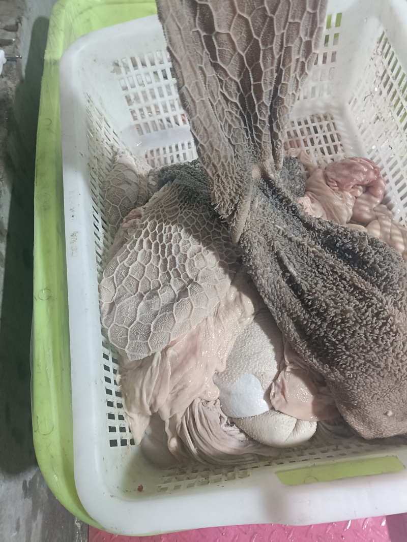 羊肚新鲜羊肚肚包肉原材料羊肉馆餐馆专用