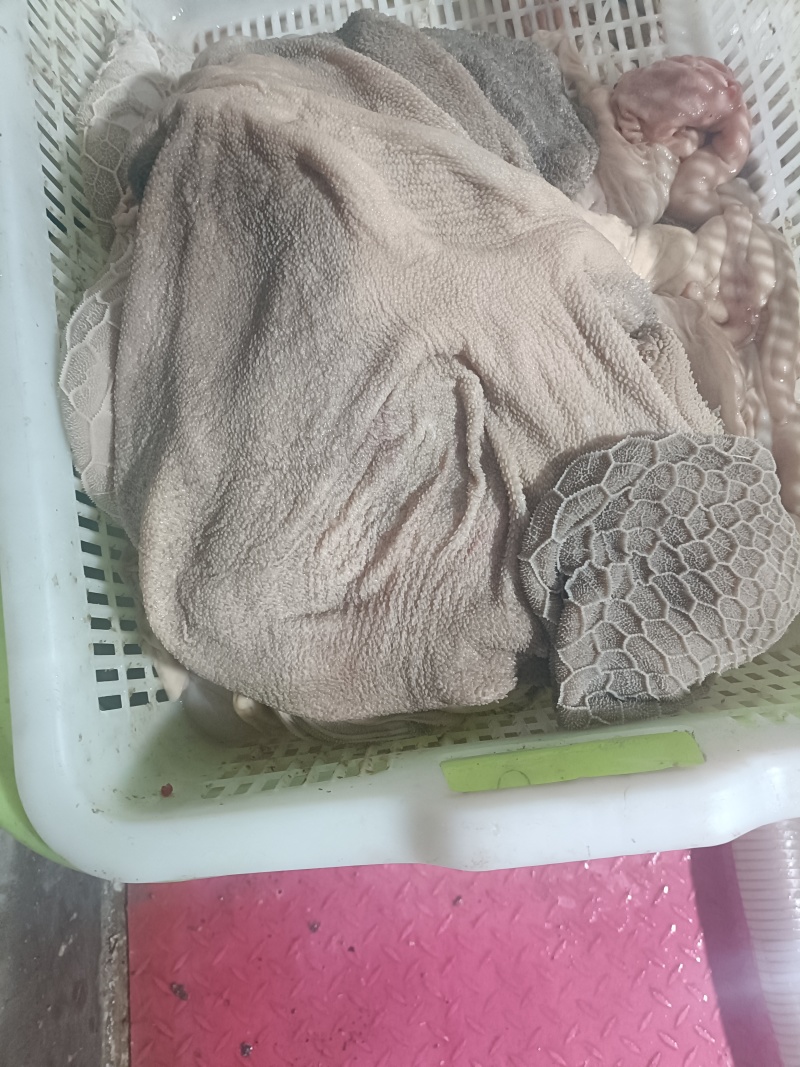 羊肚新鲜羊肚肚包肉原材料羊肉馆餐馆专用