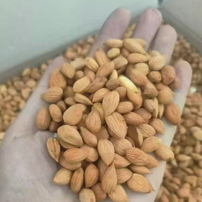 杏仁大量有货全国发货电商货