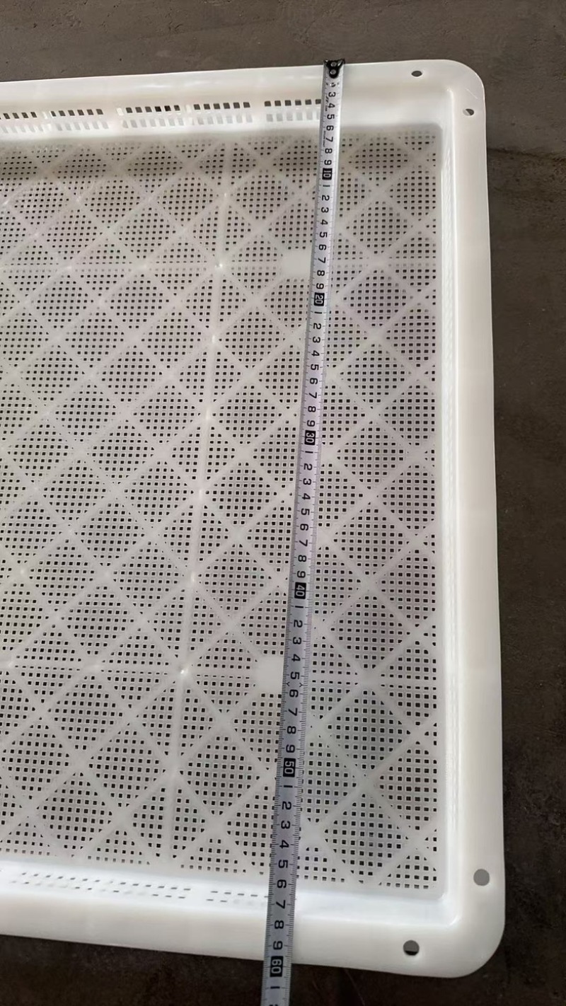 单冻器烘干盘烘干托盘晾晒筛冷冻框速冻盘烤盘果脯蜜饯冻筐