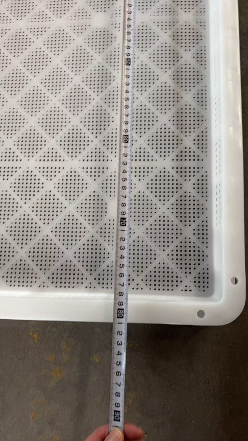 单冻器烘干盘烘干托盘晾晒筛冷冻框速冻盘烤盘果脯蜜饯冻筐