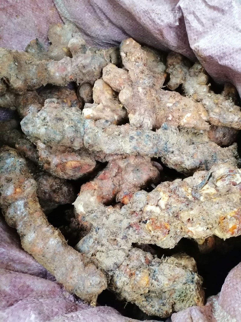 野生白肉土茯苓规格3两以上大土茯苓白肉批发零售