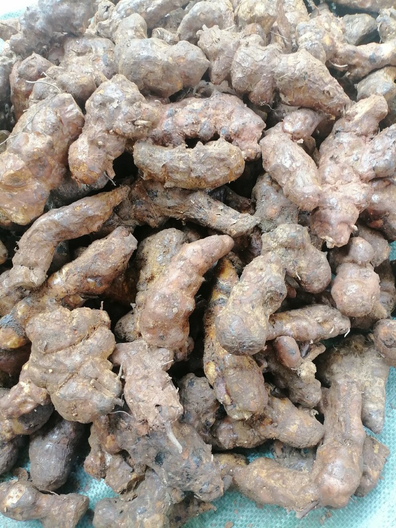 土茯苓中土（本地）粉质白肉，土茯苓中土，各种规格土茯苓
