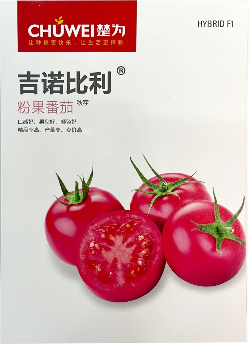 普罗旺斯，吉诺比利，口感西红柿，150亩