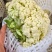 甘肃兰州散花菜，花球洁白，无绒毛，球面平缓，品质鲜嫩，