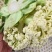 甘肃兰州散花菜，花球洁白，无绒毛，球面平缓，品质鲜嫩，