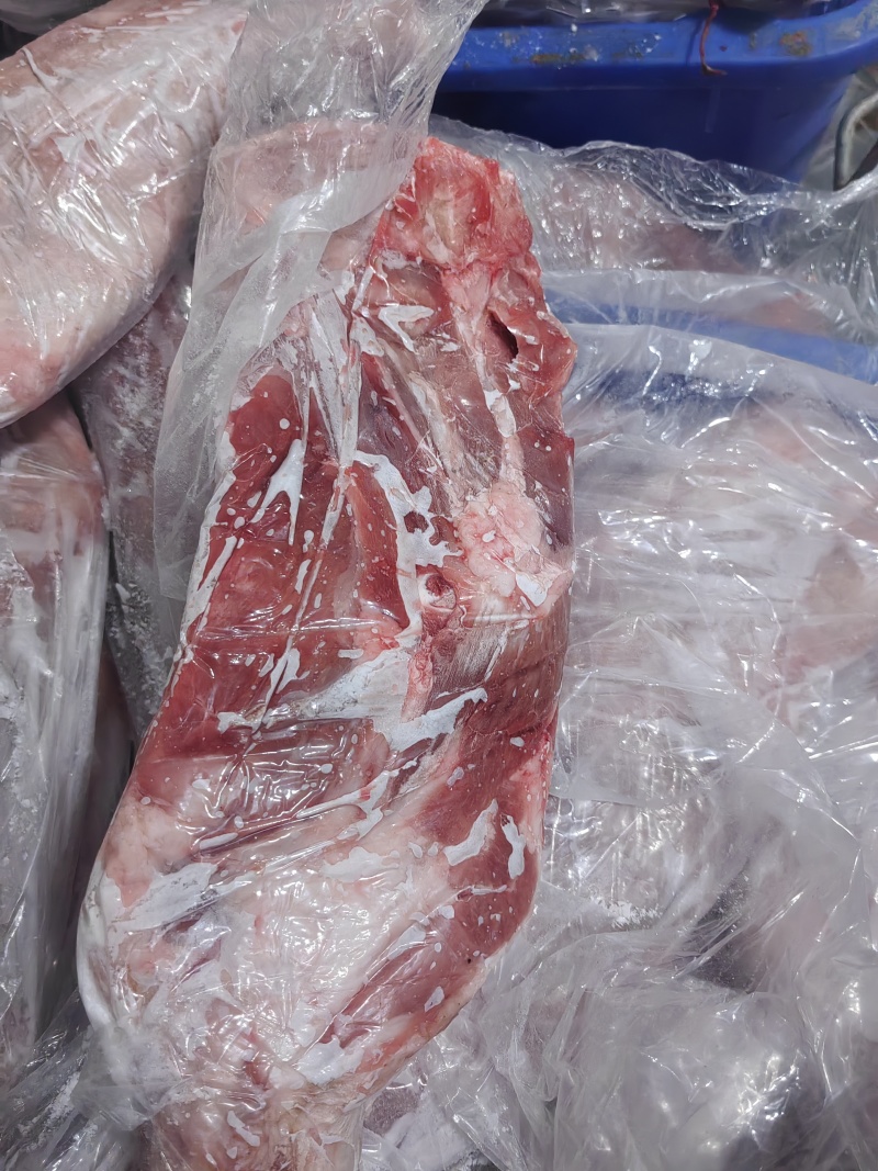一箱起发精品羊前腿烤羊腿原料12一斤大量现货
