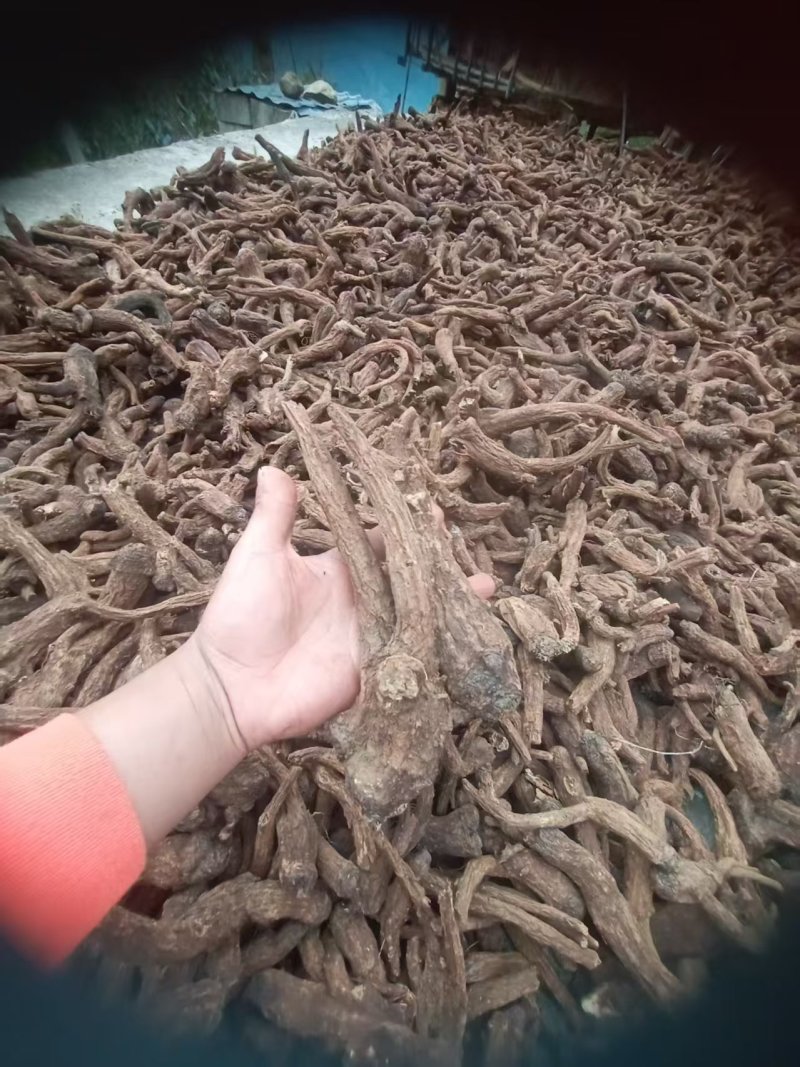 云南木香干货！种植两年的新加工木香！！！