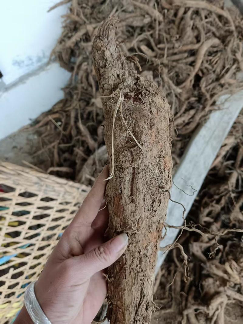云南木香干货！种植两年的新加工木香！！！