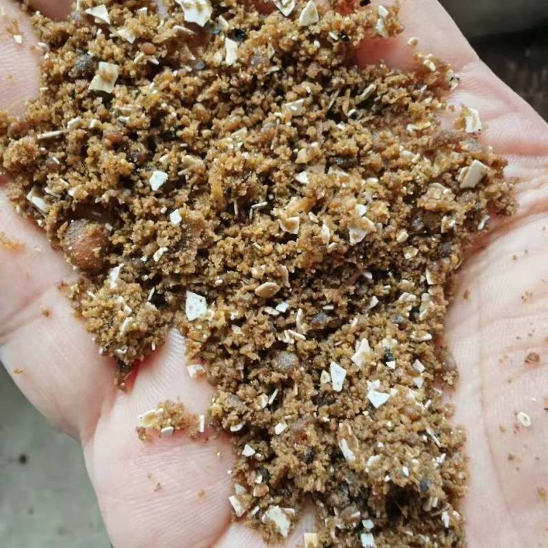 鸡蛋胚胎粉，蛋白36.5脂肪24氨基酸35.8