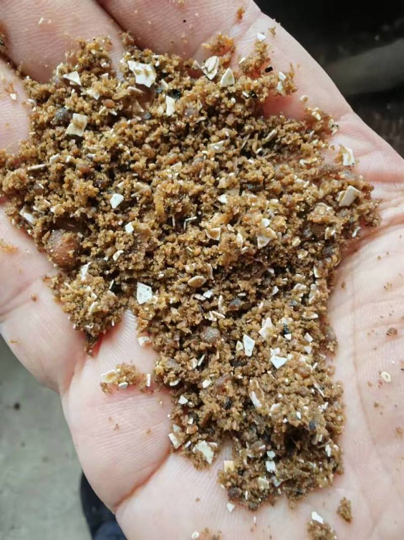 鸡蛋胚胎粉，蛋白36.5脂肪24氨基酸35.8