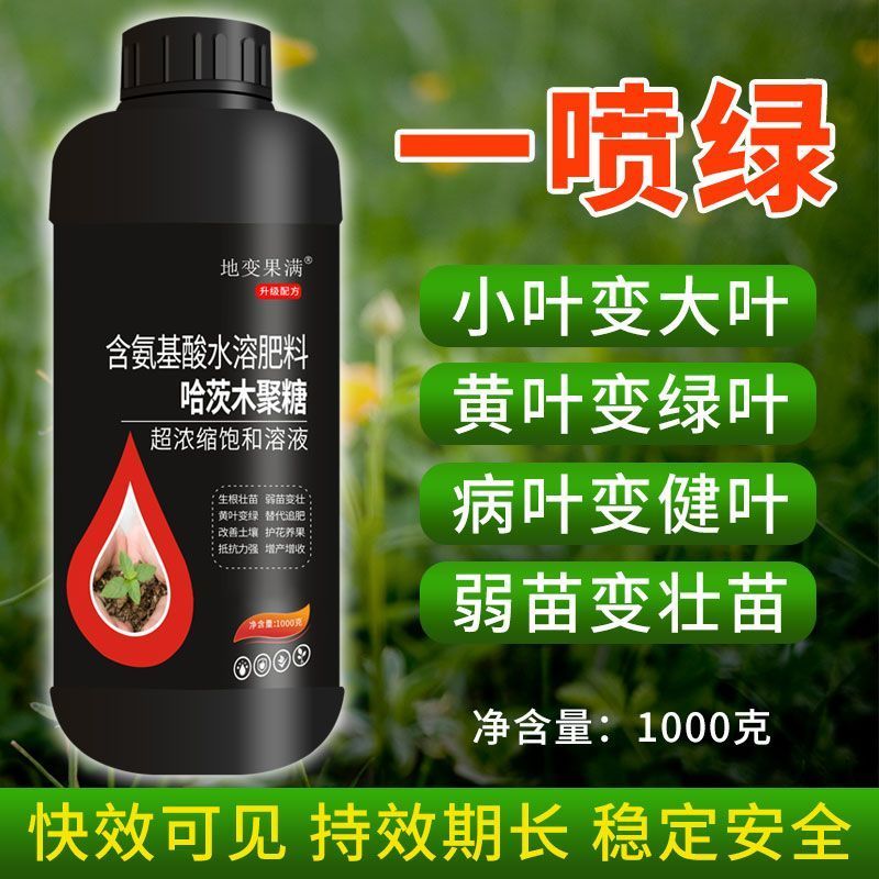 哈茨木聚糖一喷绿小叶变大叶黄叶变绿叶病叶变健叶弱苗