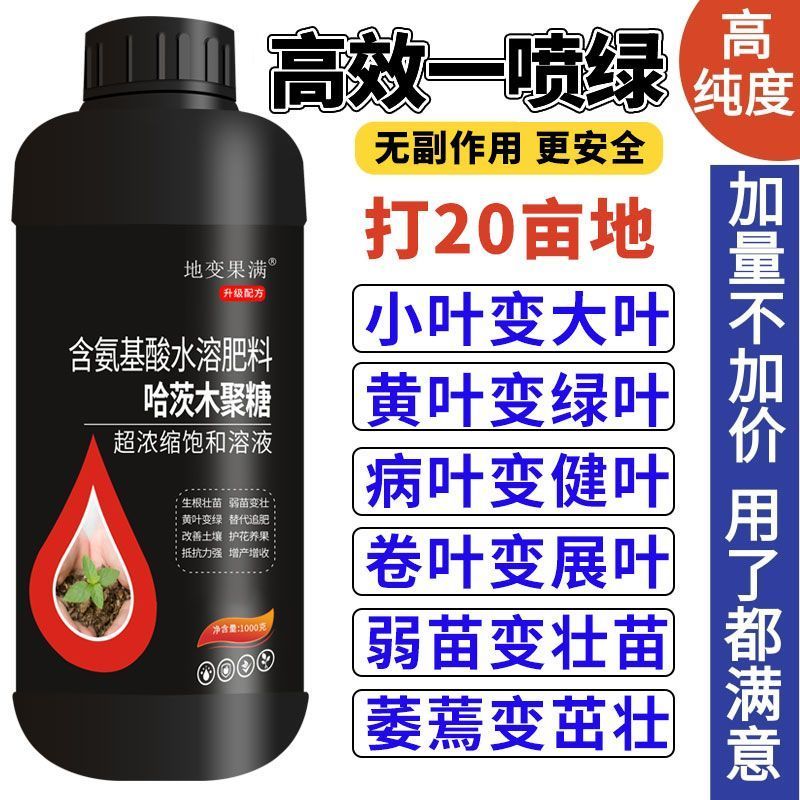 哈茨木聚糖一喷绿小叶变大叶黄叶变绿叶病叶变健叶弱苗