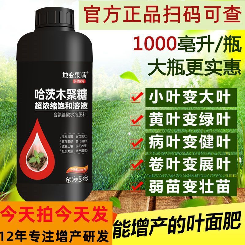 哈茨木聚糖一喷绿小叶变大叶黄叶变绿叶病叶变健叶弱苗