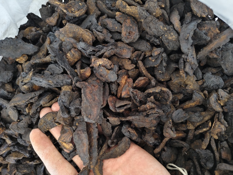 地黄熟地黄中药材精选河南焦作怀地黄切片批发量大运费可谈
