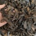 地黄熟地黄中药材精选河南焦作怀地黄切片批发量大运费可谈