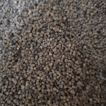 蚕砂新货正品***蚕沙蚕屎蚕屎茶蚕砂做枕头量大运费谈