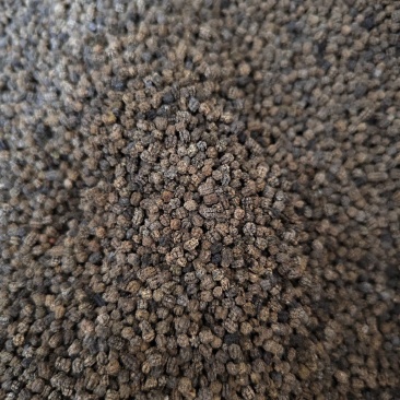 蚕砂新货正品***蚕沙蚕屎蚕屎茶蚕砂做枕头量大运费谈