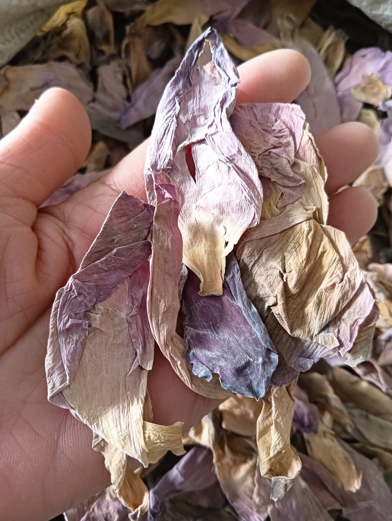 荷花，干荷花，荷花瓣，实物实拍，批发各种中药材，量大优惠